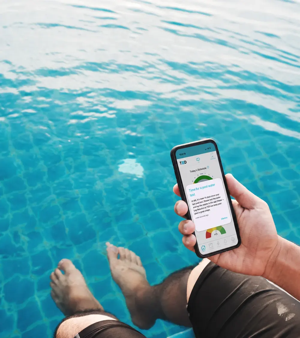 Feet in clear pool water with the TED app open on a phone